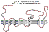 Click en la imagen para abrir ampliación en otra ventana